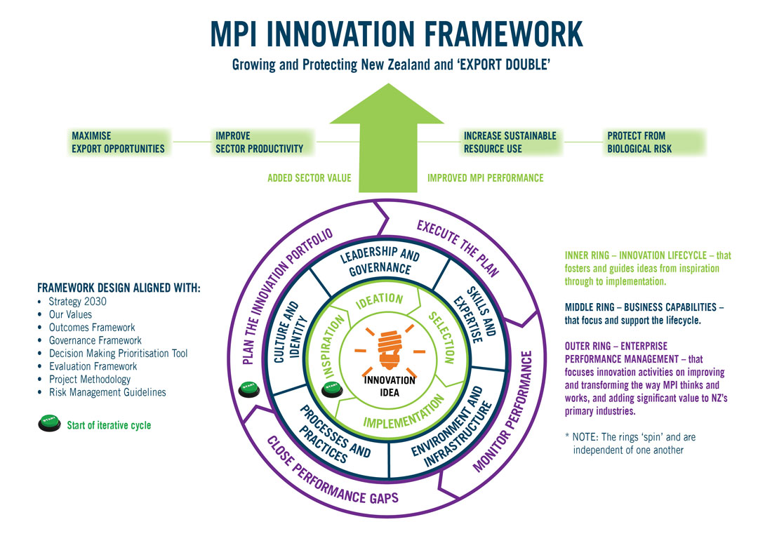 Building Innovation Capabilities